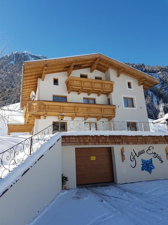 Haus Enzian Apartment Mittersill Luaran gambar